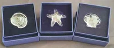 SWAROVSKI SCS Figurines Starfish Scallop Top Shell - F5,10,D21CJ