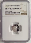 Photo of a 2006-W American Platinum Eagle from an eBay sale