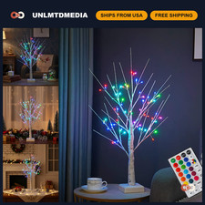 2ft LED Birch Tree with Remote - RGB Color Changing Fairy Lights for Holiday Dec