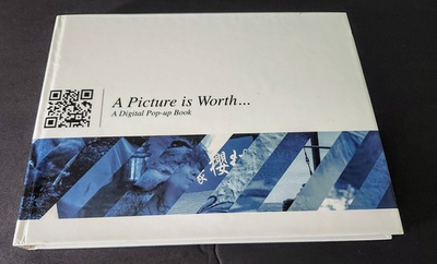 #ad #ad 2014 A Picture is Worth...A Digital Pop up Book ProSeed books #7 of 112 $250.00