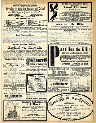 Israelitische Heil-Pflegeanstalt Sayn Coblenz Dr.Jacoby Dr.Behrend Annoncen 1883