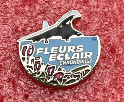 T33 Pins Airplane LE CONCORDE & FLEURS LIGHTNING Air France British Airways lapel pin