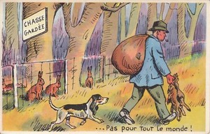 Carte Postale Postcard Humoristique Humour Chasse Hunt Chasseur Gardee Lievre Ebay Carte Postale Postcard Humoristique Humour Chasse Hunt Chasseur Gardee Lievre Ebay