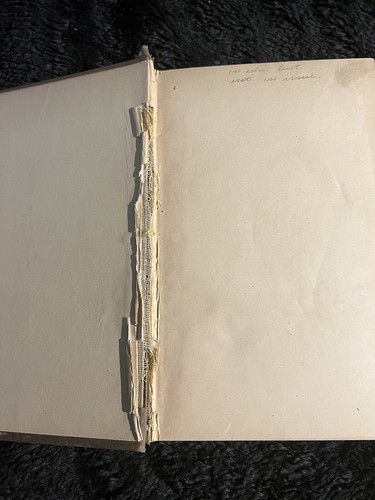 A TRAMP ABROAD, FIRST EDITION, mostly State A MARK TWAIN, 1880 - Picture 20 of 23