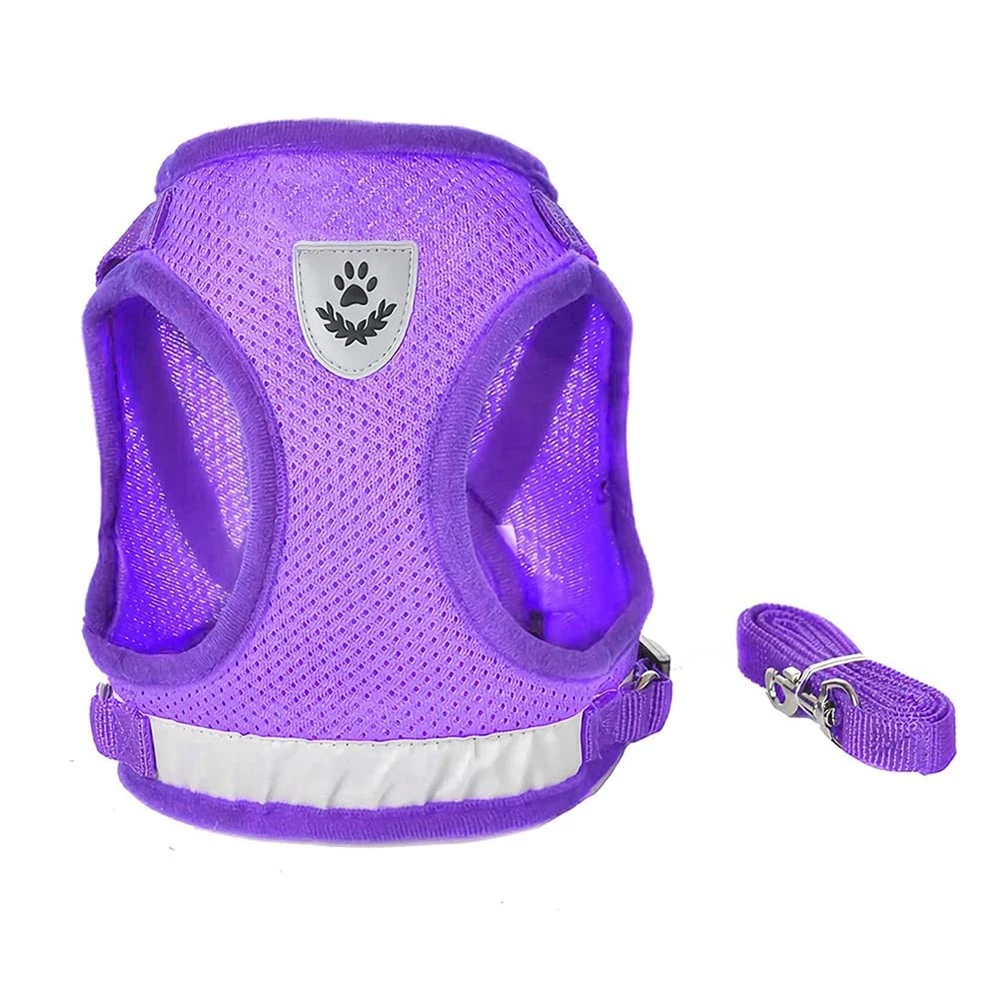 Dog Harness and Leash Set for Walking, Soft Mesh Adjustable Easy Control