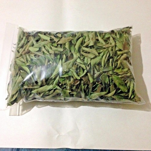 CURRYBLÄTTER frisch gepflückt 100% Bio & Natürlich 100g Heilt viele Krankheiten. - Bild 6 von 7