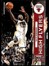 2012-13 Panini Threads High Flyers Nate Robinson Chicago Bulls #23
