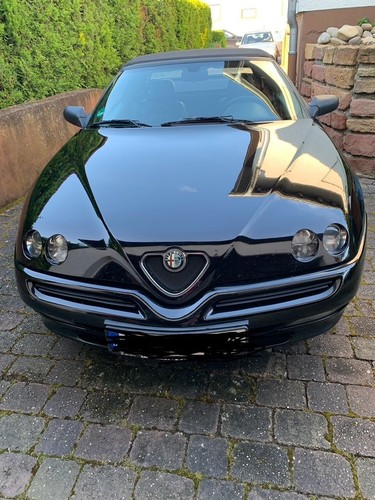 Alfa Spider