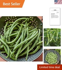 Blue Lake 274 Vegetable Seeds - 2 Oz of Heirloom Bush Beans for Your Garden