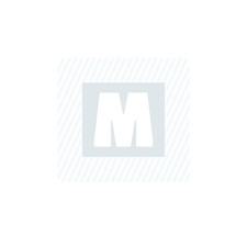 Lime plate demi-douce emmanchée - 250 mm - FACOM - PAM.MD250EMA