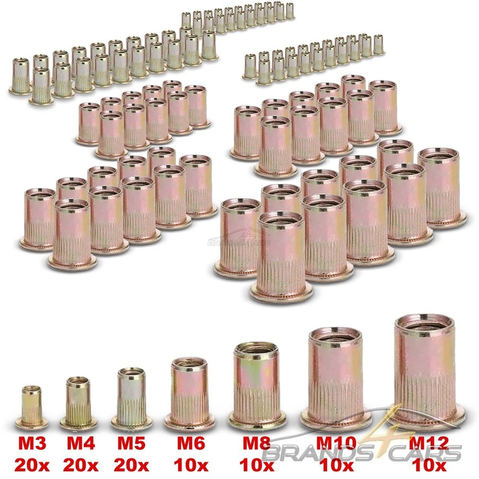 ENVA NIETMUTTERNZANGE M3 M4 M5 M6 M8 M10 M12 INKL. 100STK. GEWINDENIETEN 109-tlg - Bild 4 von 4