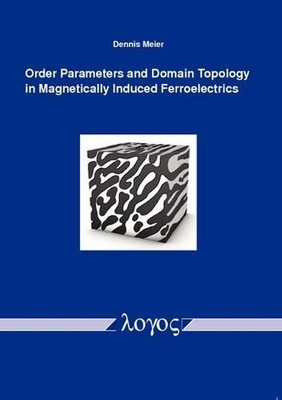 Order Parameters and Domain Topology in Magnetically Induced Ferroelectrics by D