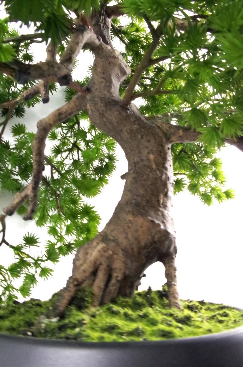 Artificial bonsai tree deals