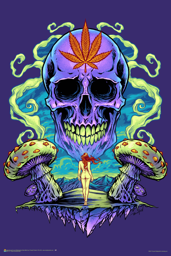 Purple Cannabis Skull by Flyland Designs Poster 24