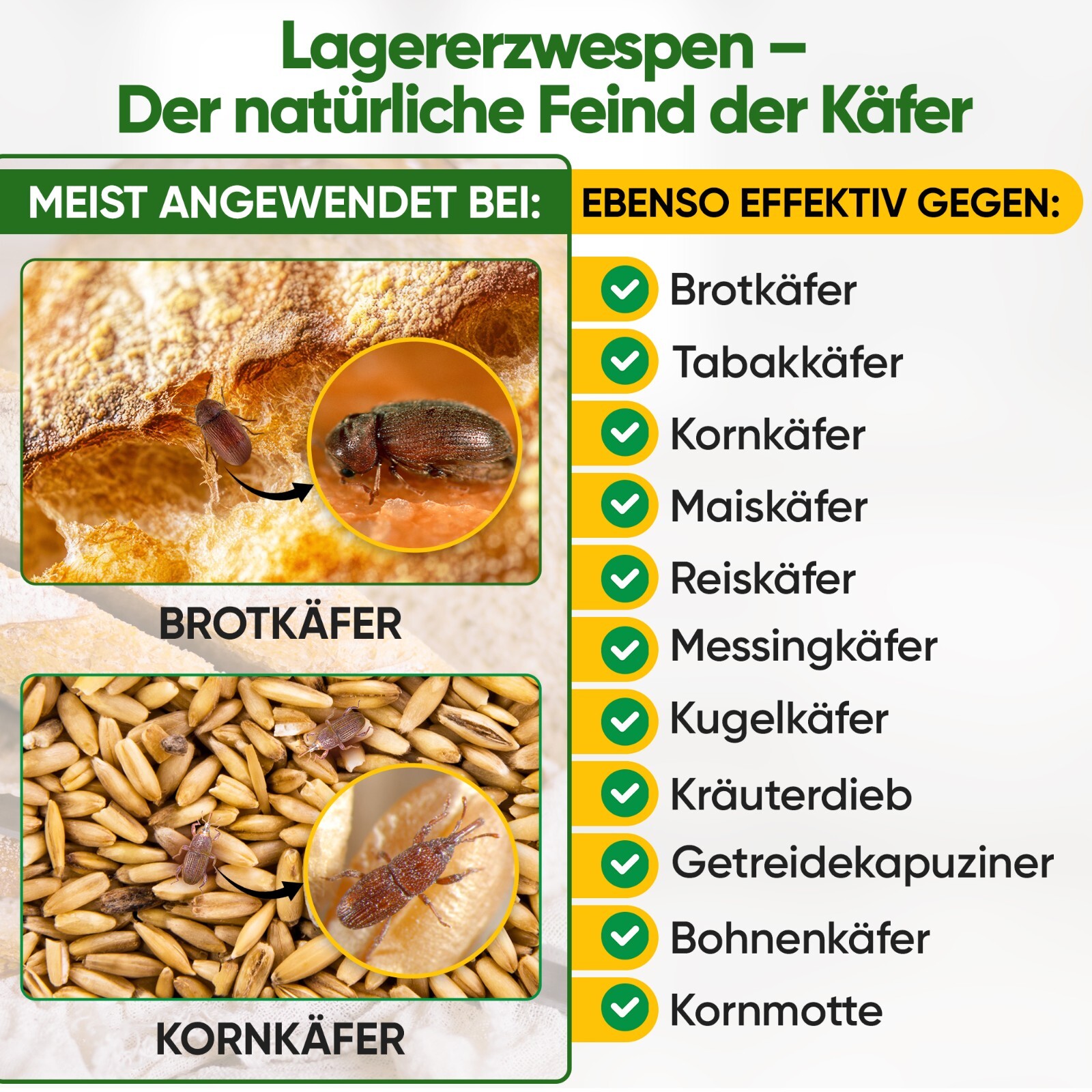 Bild 17 von 71