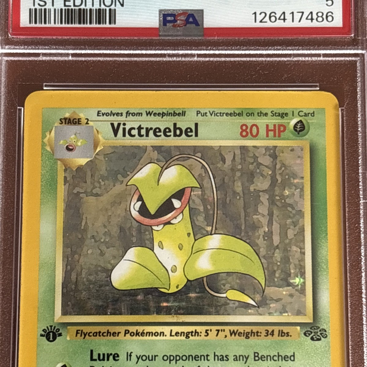 1995 victreebel pokemon card value Victreebel (14)