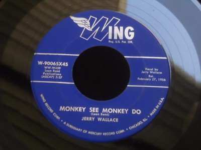 ZZ4 WING 90065 ROCKABILLY JERRY WALLACE MONKEY SEE MONKEY DO EYES OF FIRE LIPS
