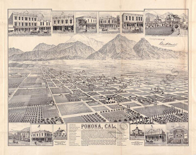 Panoramic Map of Pomona CA c1886 16x20