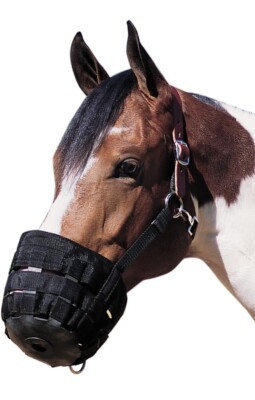 Weaver Leather 65-2346 Horse Grazing Muzzle w/ Crown LARGE Black w/ Black Strap