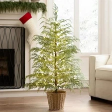 NEW, SEALED My Texas House 4FT Pre-Lit Cypress Artificial Tree Christmas