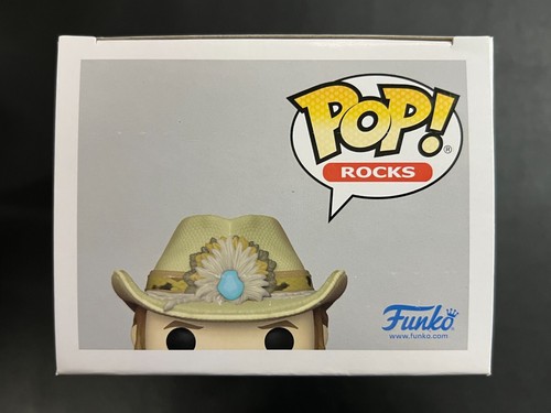 Funko POP! Rocks #259 - Chris Stapleton con protector - Imagen 5 de 6