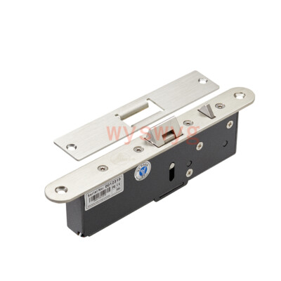 YLI YML-650A European Type Electric Mechanical Lock NC/NO Adjustable 12/24VDC/AC