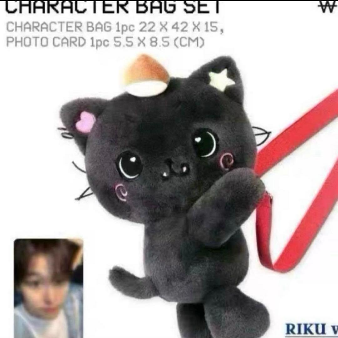 NCT WISH Riku Plush Doll Mascot Character Bag No Photocard