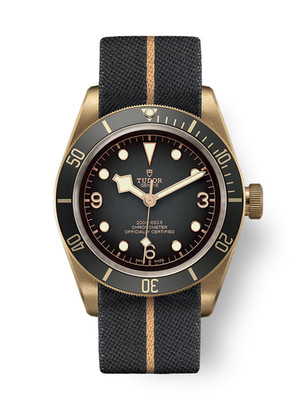 Tudor Black Bay Bronze 43mm Slate Gray Dial Watch M79250BA-0002