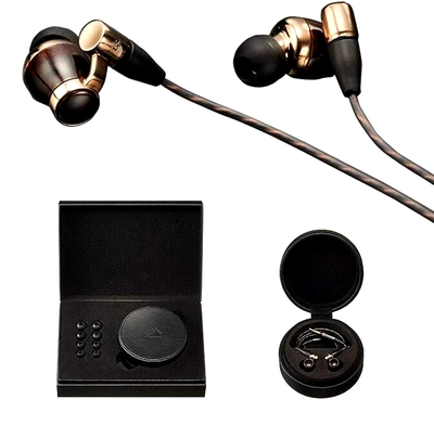 Victor JVC HA-FW10000 canal type earphone WOOD series high 