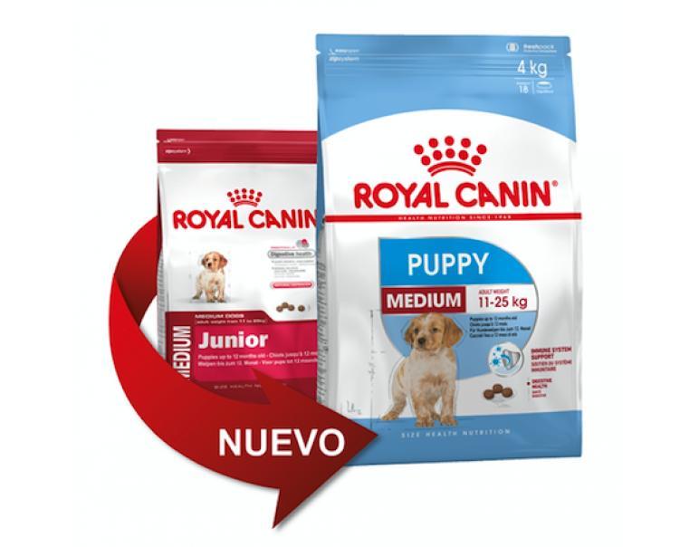 eukanuba junior medium