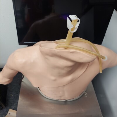 Nasco Life Form Catheterization For TPN And Central Venous Catheterization 