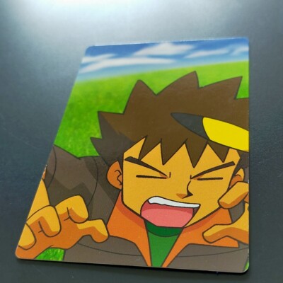 ブビィ　eカード Brock & Bonsly ZUKAN Carddass THE POKÉMON WEEKLY SNAP 003