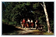 Cincinnati OH Ohio Country Trails Horseback Riding Fox Hunt Postcard Posted 1958