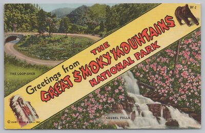 National & State Parks~Loop-Over Laurel Falls Great Smoky Mts~Vintage Postcard