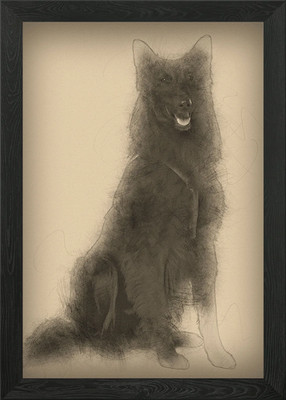 Belgischer Schäferhund Hund sitti Gerahmte Wandkunst Poster Leinwandbild Bild