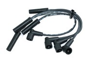Lada Niva ZÜNdkabelsatz Ab Euro 3 Avtovaz 21214-3707080-20 Lada Taiga - 4X4