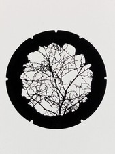 2 285 003 860 - Branches 3 - Metal GOBO Size B