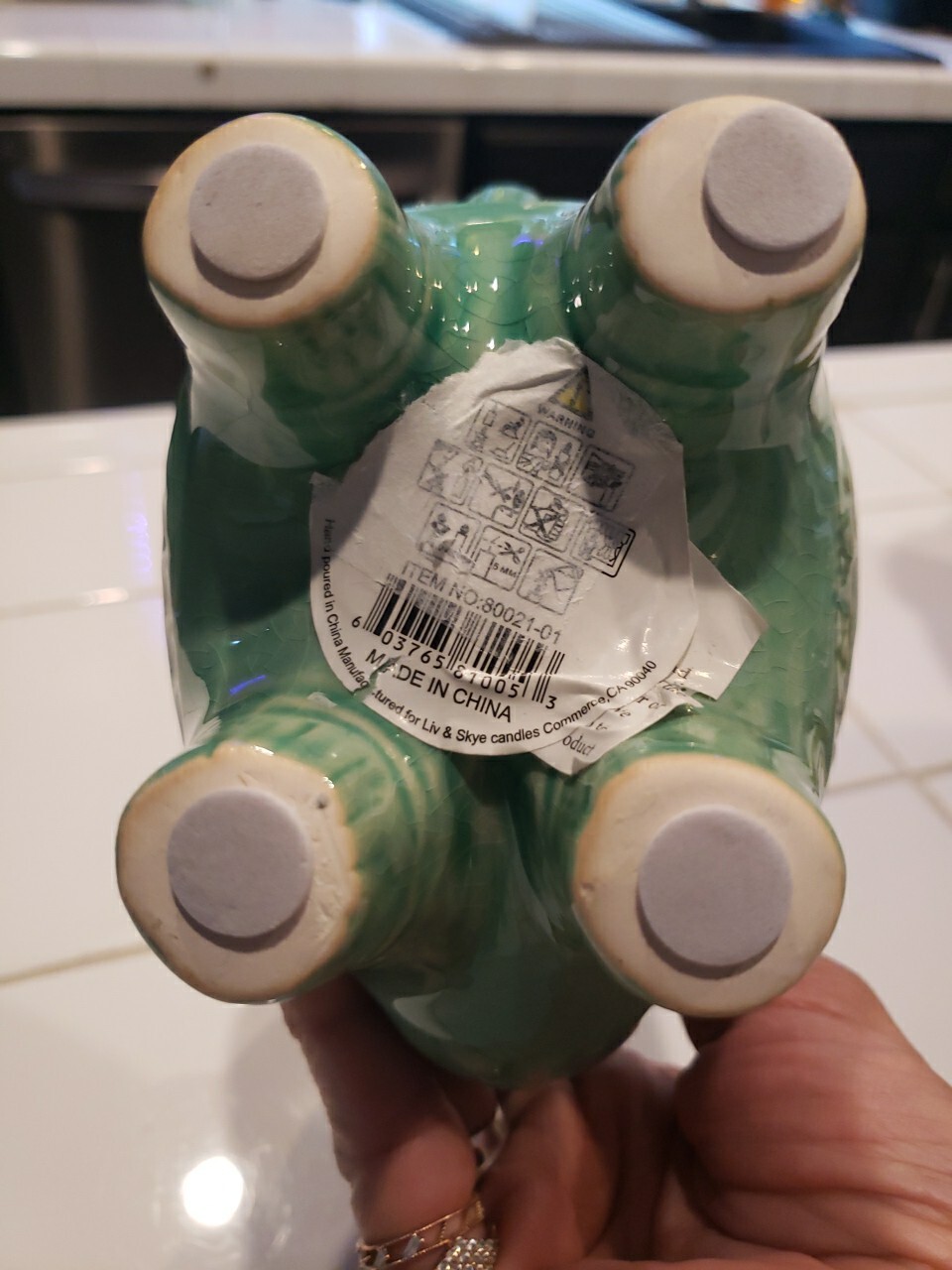 Sagebrook Home 80021 7 in. Llama Potted Candle by Liv & Skye Sea Salt, Turquoise