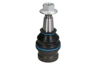 Reinhoch RH03-0039 Traggelenk Vorne FüR Audi A4 B8 B9 A5 A6 C7 A7 Q5 Macan