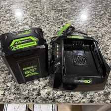 GreenWorks Pro LB605 60V 5.0 Extended Run Lithium-Ion Battery & CH60R00 Charger