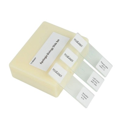 Prepared Human Pathology Microscope Slide Set, 12pcs Research-Quality Prepare...