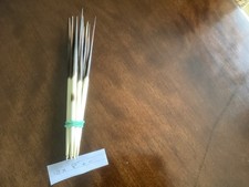 Porcupine Quills x 10 - Various Sizes for  Restoration/Floats/Crafts/Jewellery