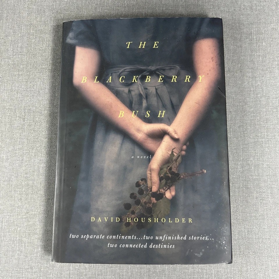 Sue Monk Kidd ~ David Housholder ~ Christa Parrish ~ T Greenwood 4 Book Lot Foto 4 de 4