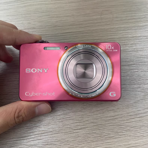 SONY Cyber-shot DSC-WX100 Pink 18.2MP 10x Zoom Digital