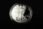 NobleSpirit GEM BU 2001 W American Silver Eagle PROOF 1oz .999 w Box & CoA