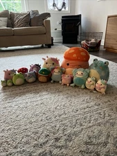 Squishmallows Ultra Rare Bundle