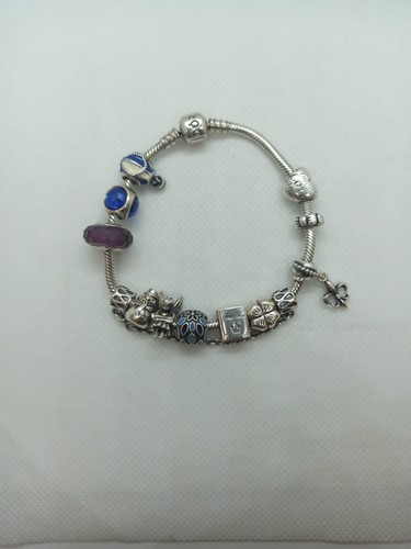 Bracciale Pandora  Completo Di 13 Charms - Foto 1 di 14