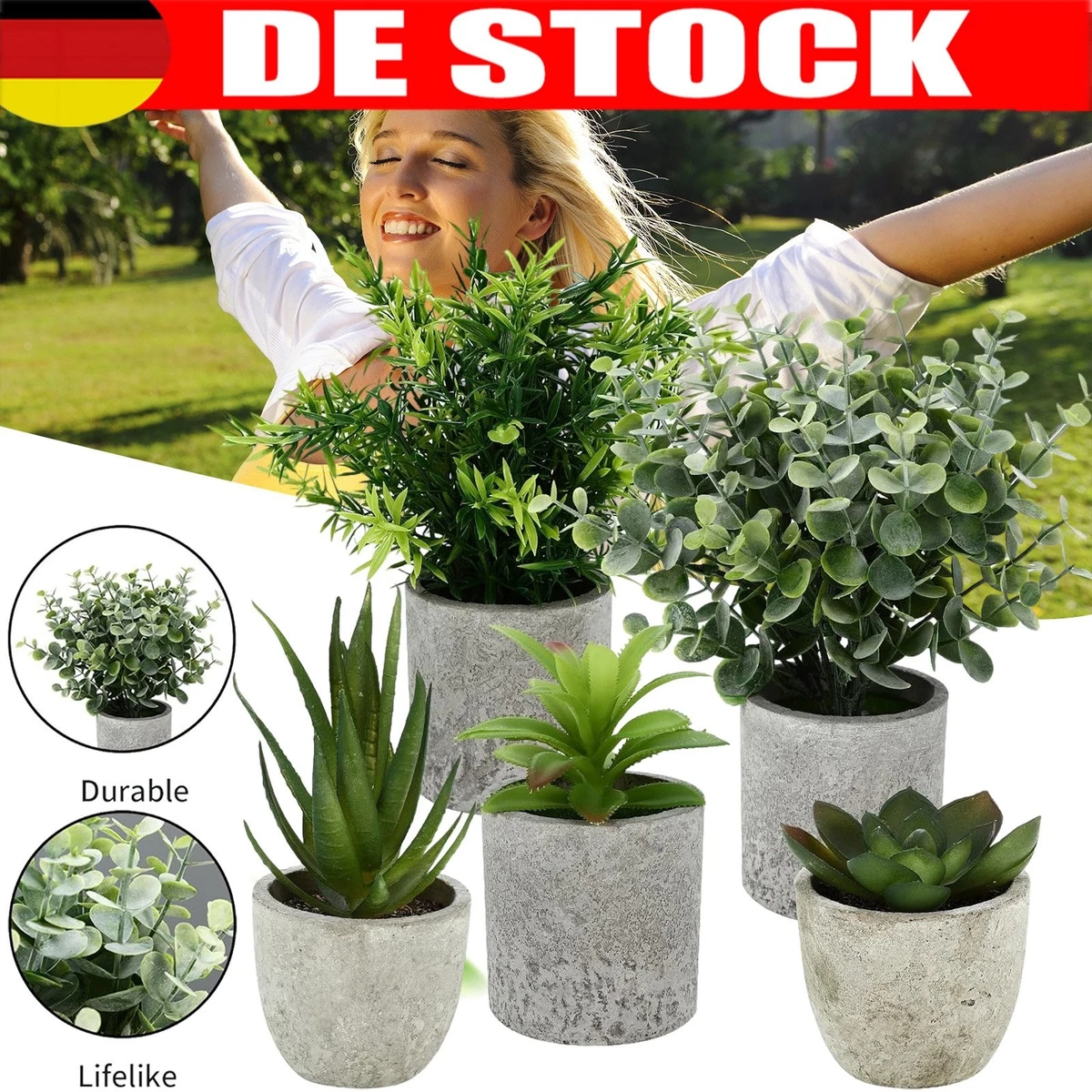 kirschlorbeer schnellwachsend kaufen Kirschlorbeer Rotundifolia Gartenpflanze 150cm kaufen
