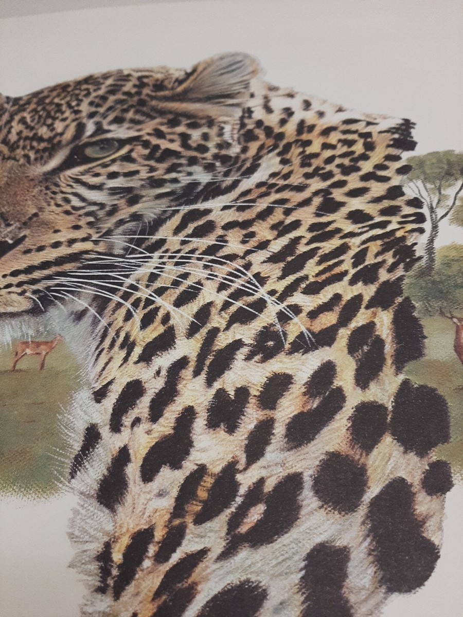 RiRiJennifer Starkweather 油彩Untitled J. STARK Leopard, Hand Signed and Numbered (#129-- Very Low