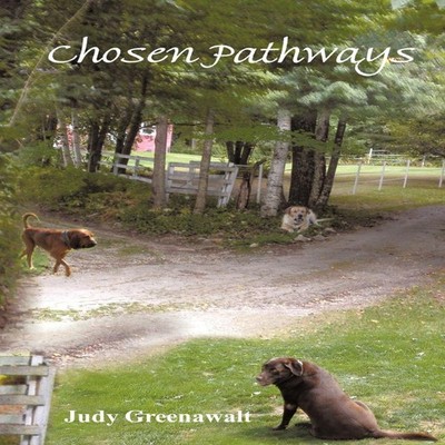 Chosen Pathways Judy Greenawalt Paperback Author Solutions Inc
